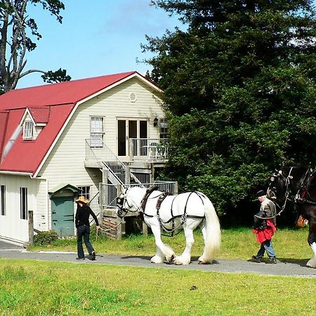 Villa The Carriage House-Bay Of Islands Kerikeri Exterior foto